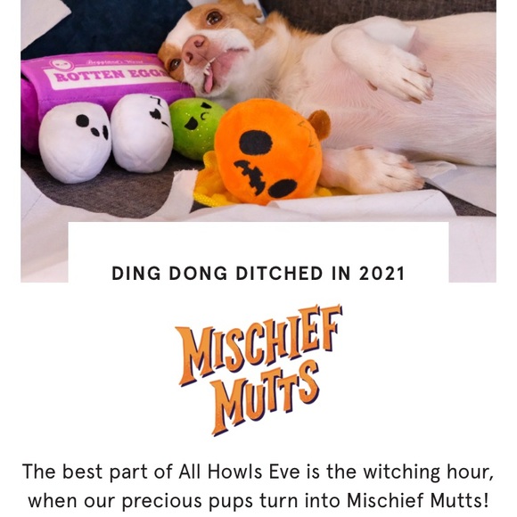 Bark box smashing pumpkin dog toy - Picture 4 of 4